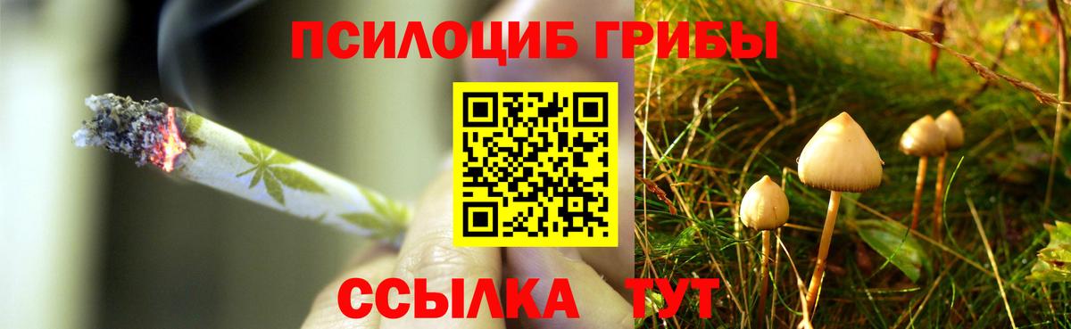  Кокаин Шадринск
